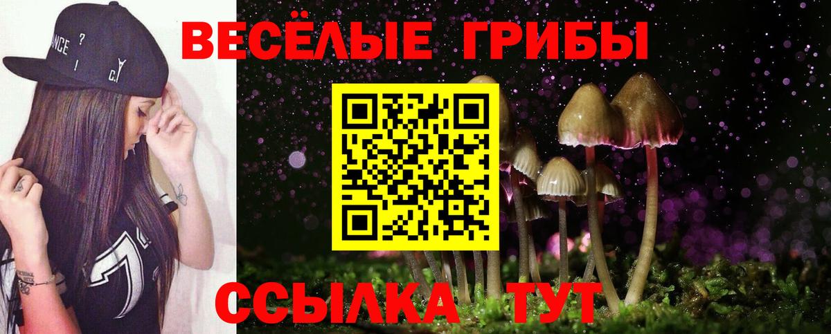 что такое наркотик  Псилоцибиновые грибы Psilocybine cubensis  Вход с VPN  Ачинск 