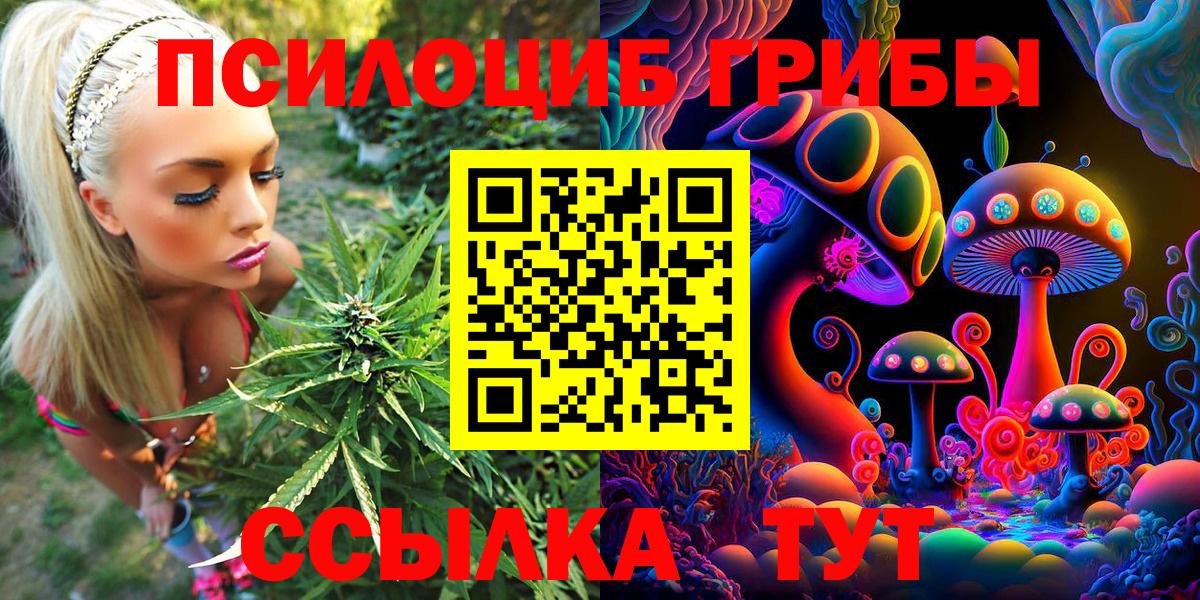 Галлюциногенные грибы Cubensis Ачинск